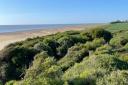 A body part could wash up on Pakefield beach.