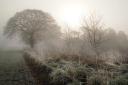 The Met Office has issued a warning for fog in Suffolk