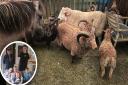 A mum from Wickham Market has thanked the community for the help they gave during Storm Babet to help save their animals