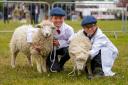 The Suffolk Show is back