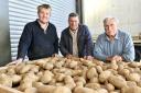 Three generations of the Suckling family with their potatoes - Chris (middle) is flanked by son Harry and dad John