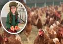 A family farm has welcomed 2,500 chickens back to its premises after it was closed for six months due to a bird flu outbreak.