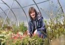 Owner of Swanns Nursery in Bromeswell, Caroline Peecock