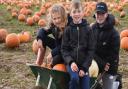 Undley Pumpkin Patch has been named the most Instagrammable pumpkin patch in East Anglia