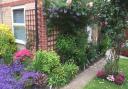 The judging is taking place from Monday, July 13, for a week Picture: BURY IN BLOOM