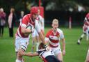 The St Joseph's College Rugby Festival will be held this weekend. Picture: LUCY TAYLOR