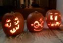 pumpkins