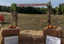 A new pumpkin patch has opened in Ipswich