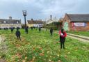 41 soldiers have been erected in Haughley to honour the 'Haughley Soldiers' who lost their lives in wars