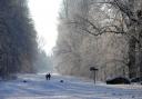 Nowton Park near Bury St Edmunds in the snow