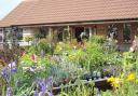 Kiln Farm Nursery in Kesgrave