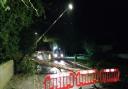 A fallen tree has closed a Mildenhall road