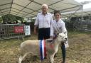 Stephen Cobbald and Amy Byford with their winning Texel shearling ewe at the Hadleigh Show