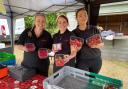 Aimee, Megan and Lauren selling strawberries at Tiptree's Open Farm Sunday event