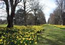 Nowton Park near Bury St Edmunds is one of the parks in Suffolk to receive the award