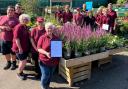 Perrywood Sudbury has been named as on the best garden centres in the country
