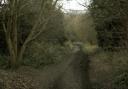 A man has reportedly been scaring children on or near a popular walk in Hadleigh