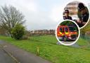 An allotment shed in Mildenhall was set on fire