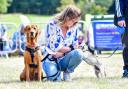 Suffolk Dog Day returned and was a hit once again as more than £70,000 was raised for St Elizabeth Hospice