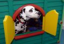 Suffolk Canine Creche in Martlesham has announced its closure.