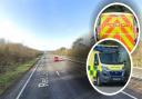 A person has died after being hit by a vehicle on the A11