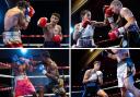 Clockwise from top left: Jack Williams, Eilish Tierney, Austin McGregor and Gideon Jonas all won their pro boxing bouts at Trinity Park on Saturday