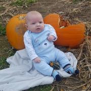 Baby Harrison sitting in a field of pumpkins