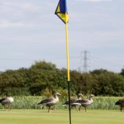 You can play golf in Scotland but not England.