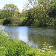 The River Gipping