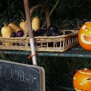 Alison Connors found these scary chaps while on a walk from Foxhall Woods.