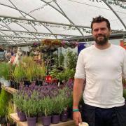 Keith Bodsworth, whose business The Potting Shed has gone from strength to strength after starting up during lockdown back in April Picture: The Potting Shed