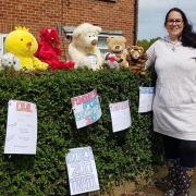 Alice has more than a dozen animals on display outside her house Picture: ALICE SIMPSON