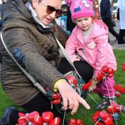 Armistice centenary commemorated with Capel St Mary's dedication service  Picture: LUCY TAYLOR PHOTOGRAPHY