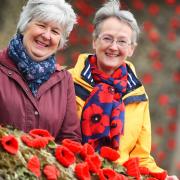 Fiona Glover and Jan Hall with last year's display Picture: GREGG BROWN