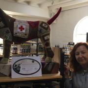 Heidi McEvoy-Swift with her Casualty Dog at the Greene King Beer Cafe. Picture: RUSSELL COOK