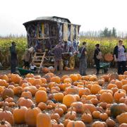 Halloween is coming Picture: UNDLEY PUMPKIN PATCH