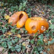 Pumpkin dumping can be dangerous for wildlife, the Woodland Trust has warned