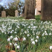 People from all over Suffolk have been paying tribute to their loved ones who have passed away this week.