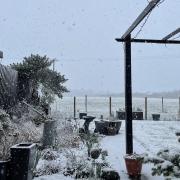 Snow falling in the Bury St Edmunds area