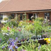 Kiln Farm Nursery in Kesgrave