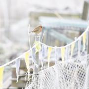 An amber cold weater alert has been issued for Suffolk