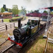 The Heritage Steam Gala returns to Bressingham Steam Museum
