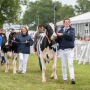 Savills will be at stand 571 opposite the President’s Ring at this year’s Suffolk Show