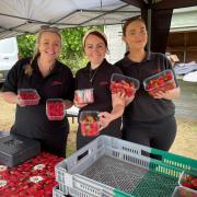 Aimee, Megan and Lauren selling strawberries at Tiptree's Open Farm Sunday event
