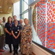 A new piece of artwork was installed in Ipswich Hospital in honour of organ donations