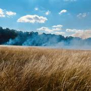 A field in Brandon caught fire on Monday afternoon