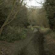 A man has reportedly been scaring children on or near a popular walk in Hadleigh