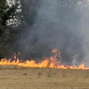 A fire broke out in a Ringshall field