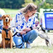 Suffolk Dog Day returned and was a hit once again as more than £70,000 was raised for St Elizabeth Hospice