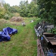 The Donkey Meadow in Yoxford has been compared to the Secret Garden made famous by an English novel